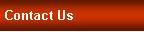 Text Box: Contact Us